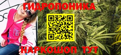 дмт Славгород