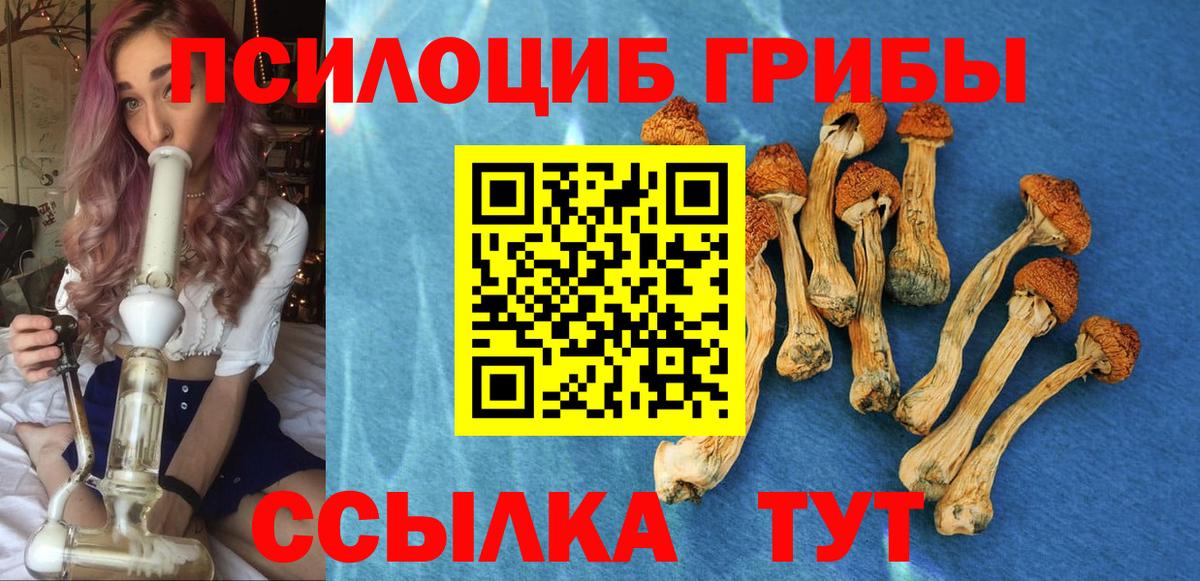 Галлюциногенные грибы Magic Shrooms Нефтекумск